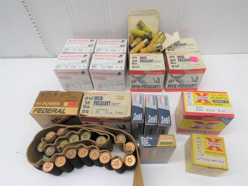 Shotgun Ammunition – (25 rounds) .410ga. 2 ½ slug