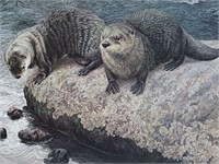 1988 Peaceful Ponderance River Otters