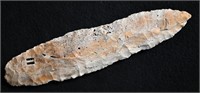 7 1/8" Fossilized Sedalia made from Burlington Che