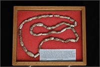 Strand of Barrel Shell Beads Mississippian Culture