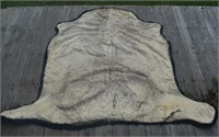 EARLY COW HIDE CARRIAGE LAP ROBE