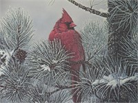1987 Morning Frost Cardinal John Petrella