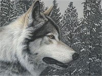 1983 Gray Wolf Portrait Ron Parker