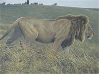 1987 Lion and Wildebeest Robert Bateman