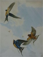 1982 Humming Birds Glen Loates