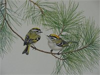 1979 Golden Crowned Kinglet Glen Loates