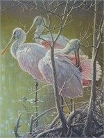 1988 Mangrove Morning Roseate Spoonbills