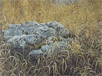 1987 Near Glenburnie Robert Bateman