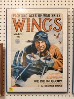 Flying Aces of War Skys Wing Picture