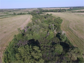 156 +/- Acres of Phillips County Land Auction