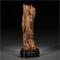 A Natural Aloes-Wood Trunk