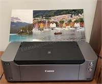 Canon Pixma Pro-100 Photo Printer, Works