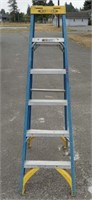 Werner 6' -250lb Step Ladder