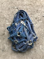 10 Used Blue Horse Halters