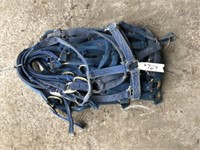 10 Used Blue Horse Halters