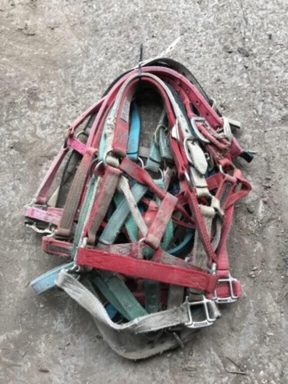 10 Used Horse Halter - assorted colors