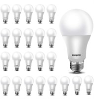 Energetic 24 Pack A19 LED Light Bulb, 40 Watt
