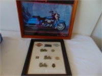 Harley Davidson Pins and picture