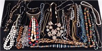 Large Necklace Collection