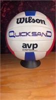 Volleyball with Stand