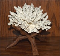 Coral Formation w/ Interlocking Driftwood Stand 7w