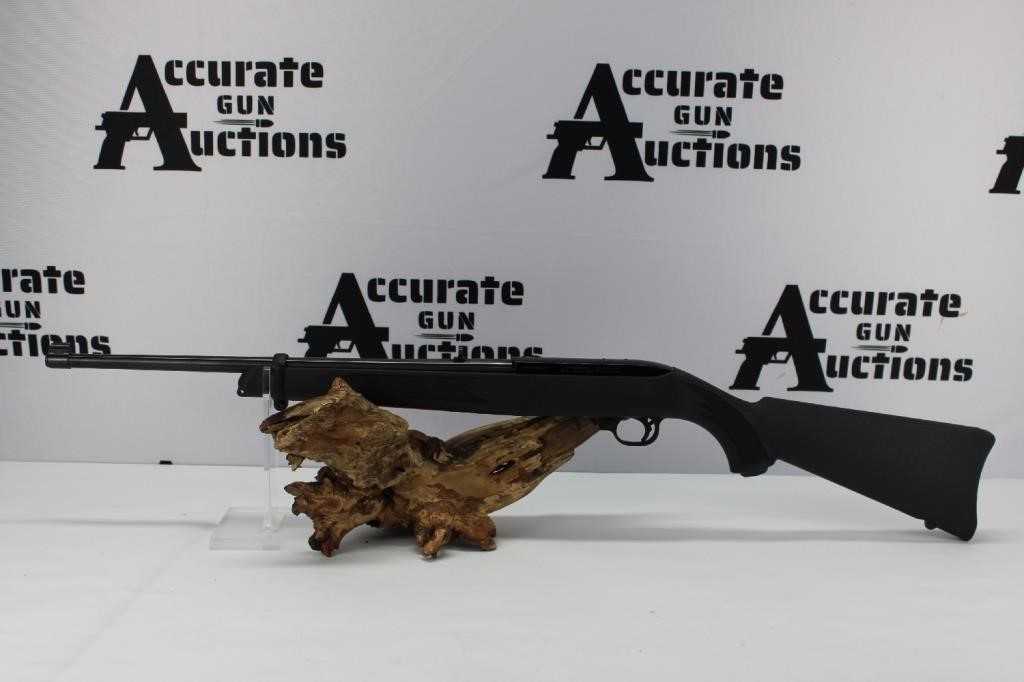 Ruger 10-22 22 LR