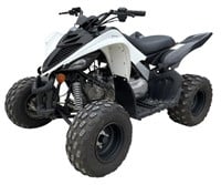 2019 Yamaha Raptor ATV