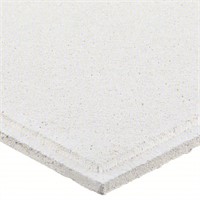 12PK ARMSTRONG Ceiling Tile 24 in x 24 in B36