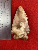 Pine Tree     Indian Artifact Arrowhead