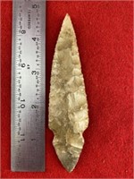 Turkey Tail     Indian Artifact Arrowhead