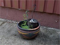 12" Outdoor Planter Pot & Contents