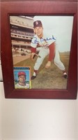 Ray Sadecki signed franed picture and card
