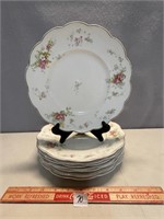 GREAT EARLY 1900'S PORCELAIN PLATES