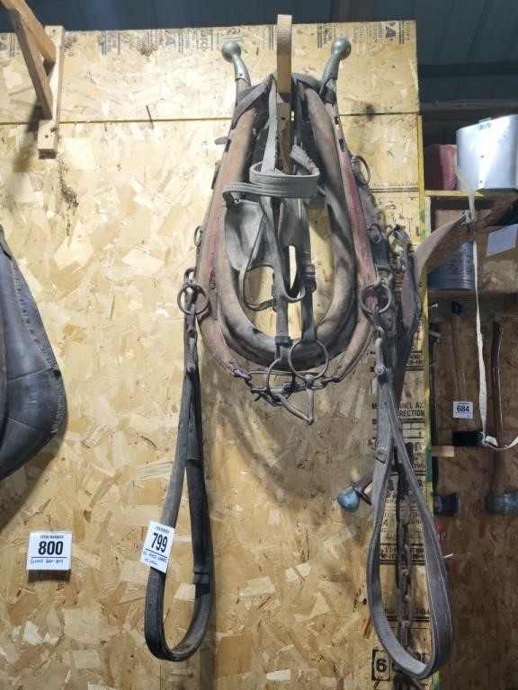 Horse collar, harness & much more