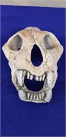 Resin Animal Skull