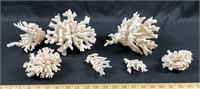 Vintage staghorn coral
