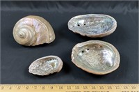 Mother of pearl shells
