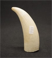 Antique whale tooth