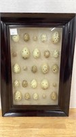 Deco encased wall hanging with eggs, 14x20,