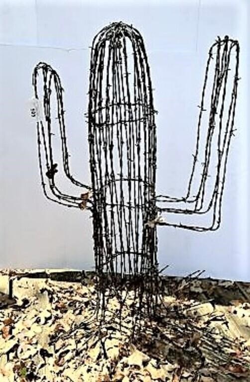 Barbed Wire Cactus