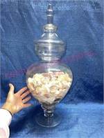 Large Glass Apothecary Jar w/ sea shells #1