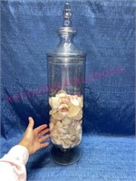 Large Glass Apothecary Jar w/ sea shells #3