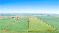 Tract 2 - 80 Acres m/l in Scott Township