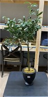 Faux Potted Olive Tree, New