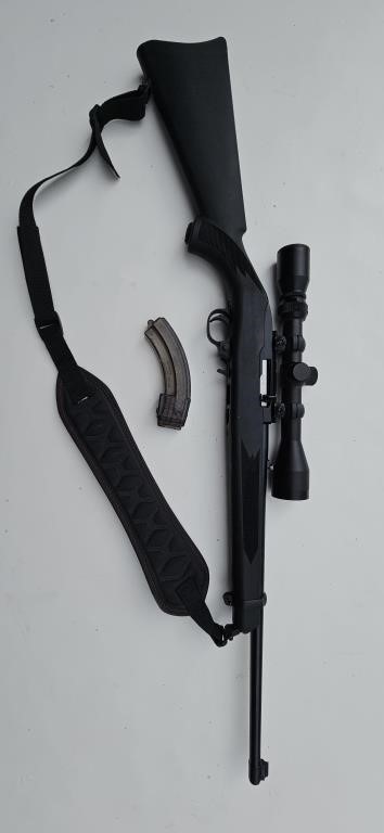 Ruger 10-22 .22 Cal