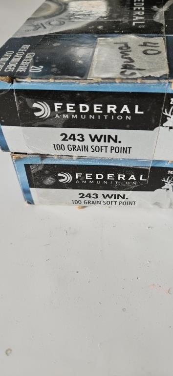 2 Boxes, 40 Rds.   243   100 Gr. Ammo