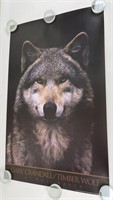Gary Crandall Timber Wolf Print