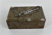 Fossil Stone Box