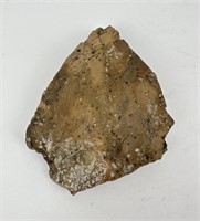 Early Human Fossil Footprint