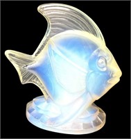 Sabino Glass Fish